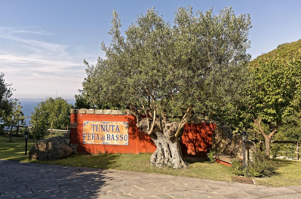 Agriturismo Pera Di Basso كازاميتْشيولا تيرمي المظهر الخارجي الصورة
